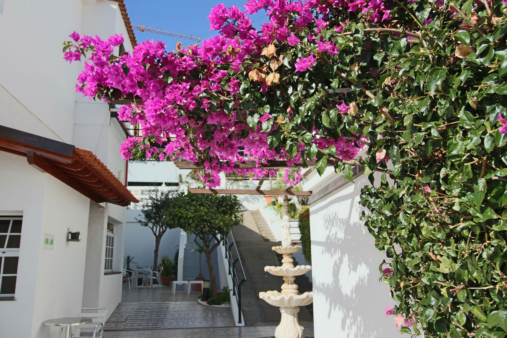 Guesthouse Vila Lusitania Funchal  Eksteriør bilde