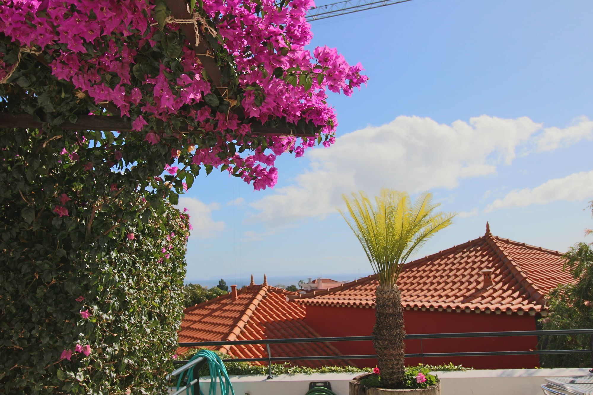 Guesthouse Vila Lusitania Funchal  Eksteriør bilde